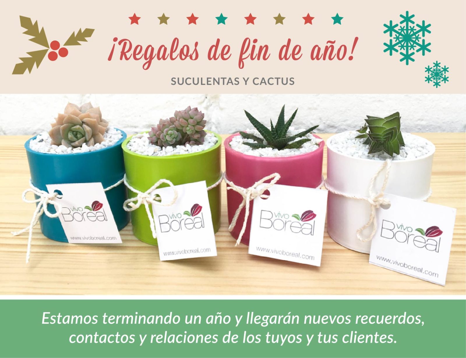 Vivo Boreal